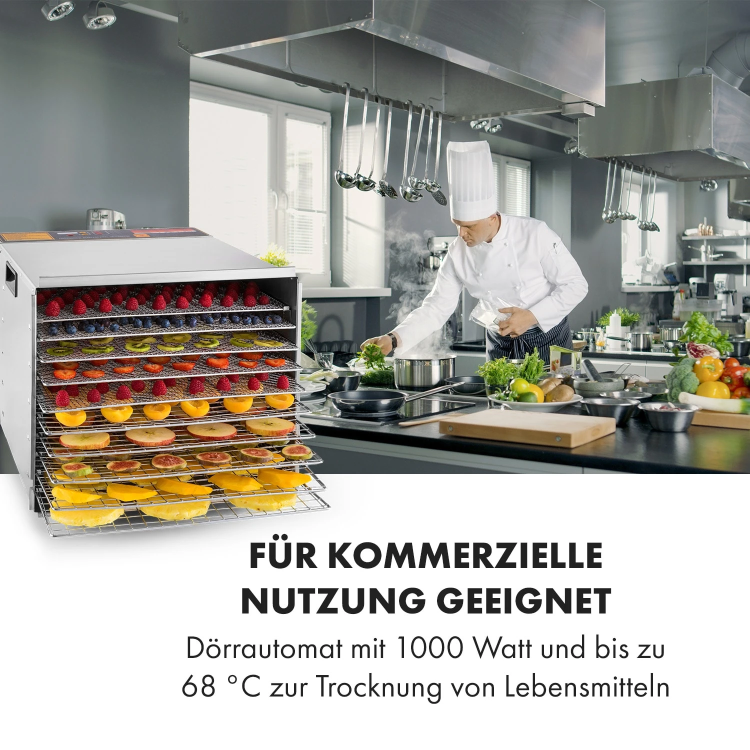 Fruit Jerky Steel 10 Dörrautomat 10 Etagen 1000 W Fläche: 1,5 M² Timer 2 Fruit Jerky Steel 10 Dörrautomat 10 Etagen 1000 W Fläche: 1,5 M² Timer – Bild 2