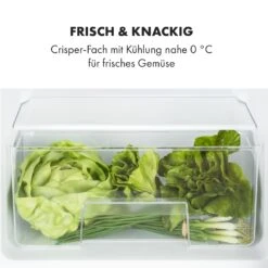 Big Daddy Cool Kühl-Gefrierkombination 61/25 Liter 2 Ebenen Edelstahl -Klarstein 10034005 de 0005 logo