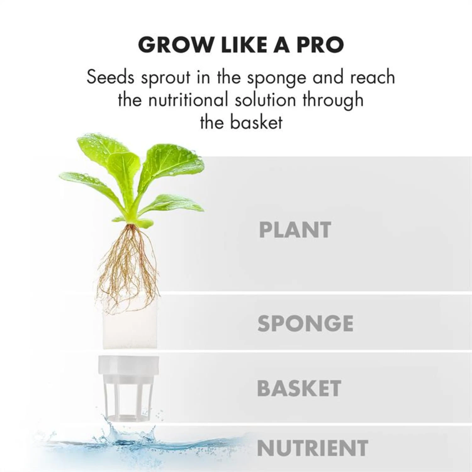 GrowIt Farm Starter Kit Asia 28 Pflanzen 48W 8Ltr Asia-Seeds Nährlösung 9 GrowIt Farm Starter Kit Asia 28 Pflanzen 48W 8Ltr Asia-Seeds Nährlösung – Bild 9